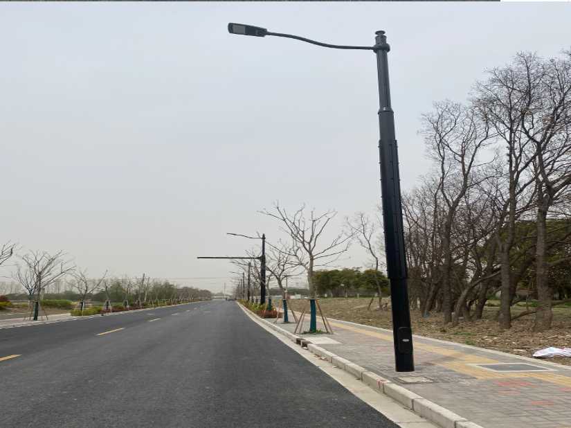 桂东县上海综合杆 太阳能路灯工程